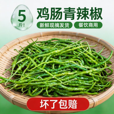 湖南当季本地鸡肠子青辣椒新鲜超细长线椒酒店饭店湘菜馆食材批发