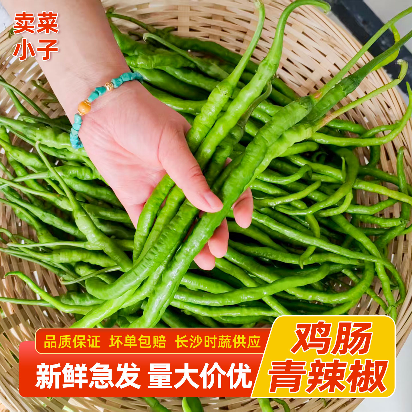 湖南当季本地鸡肠子青辣椒新鲜超细长线椒酒店饭店湘菜馆食材批发