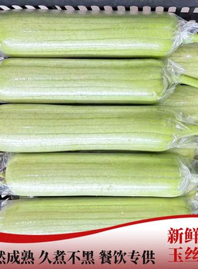 湖南白玉丝瓜本地新鲜蔬菜批发价