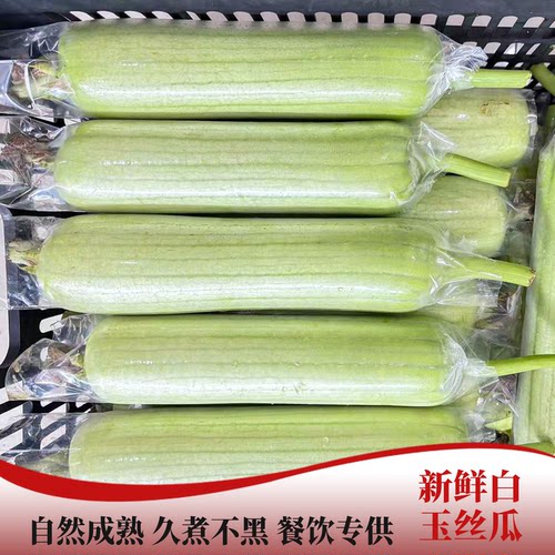 湖南白玉丝瓜本地新鲜蔬菜批发价