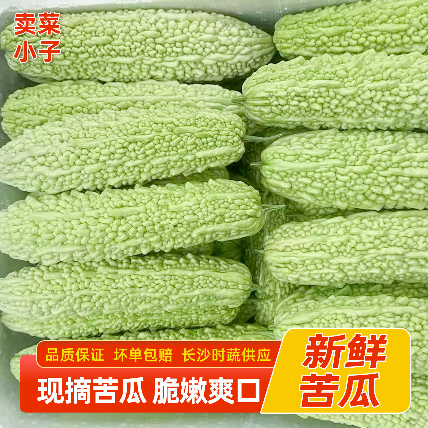 湖南农家自种白苦瓜新鲜现摘现发本地珍珠苦瓜蔬菜湘菜馆食材