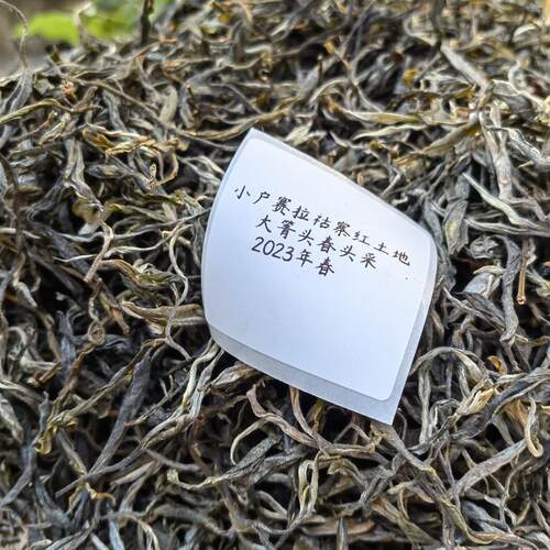 镇店之宝临沧小户赛生茶散装普洱