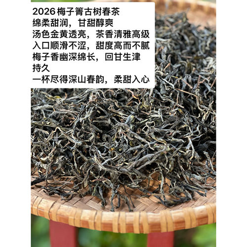 2026年头春镇店之宝馥郁梅香梅子箐古树茶头春头采散茶 产地直销