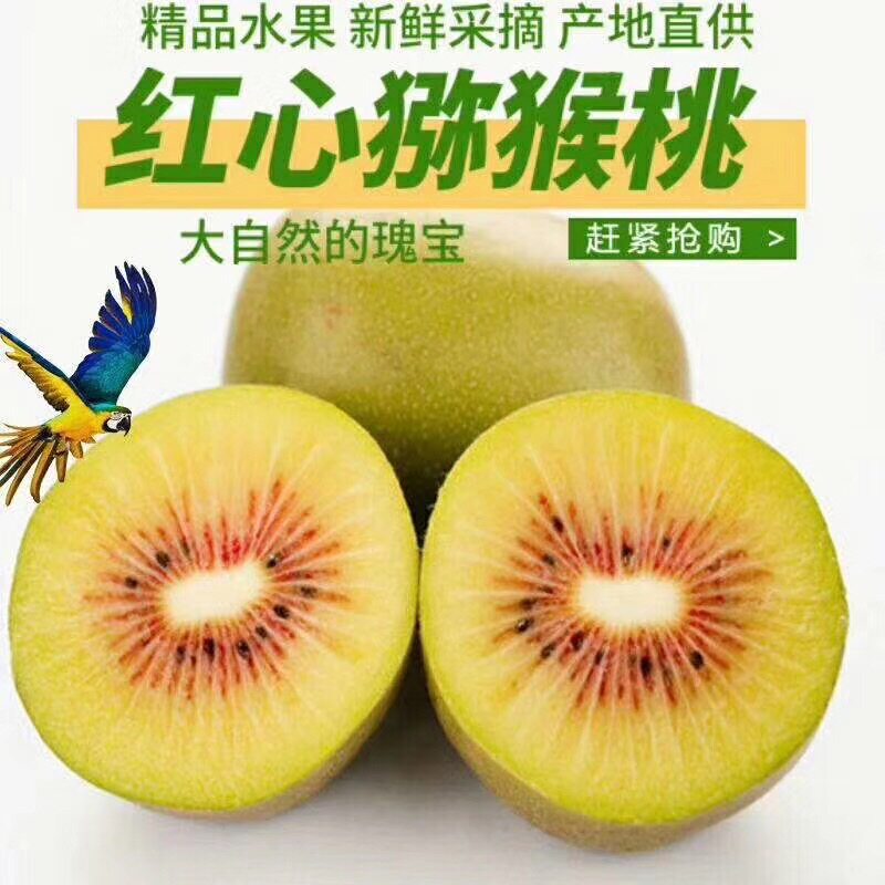 【中果5斤】红心猕猴桃新鲜现摘奇异果/猕猴桃