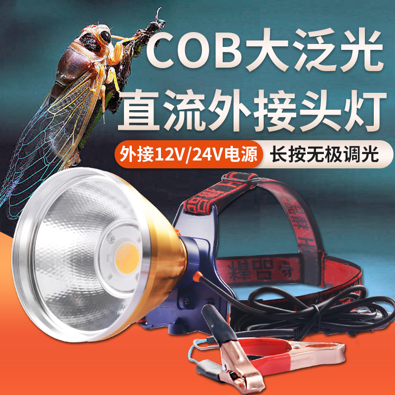 12V头灯黄光白光led强光大光斑抓鱼黄鳝蚂蟥赶海24V外接电瓶灯