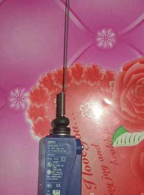 检修项目剩余施耐德限位开关 ZCP21详询