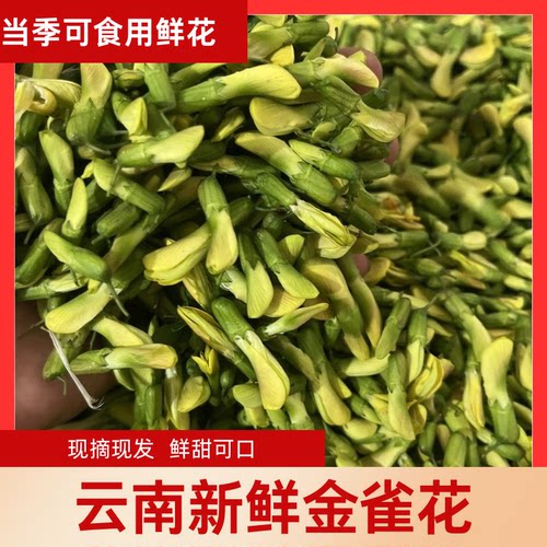 新鲜金雀花云南特产新鲜现摘现发山野菜可食用鲜花特色餐厅私房菜