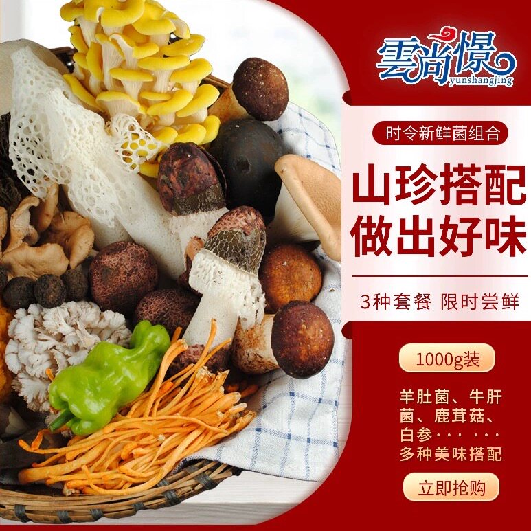 新鲜杂菌组合2斤10种云南省食用野生菌黑牛肝菌羊肚菌煲汤食材