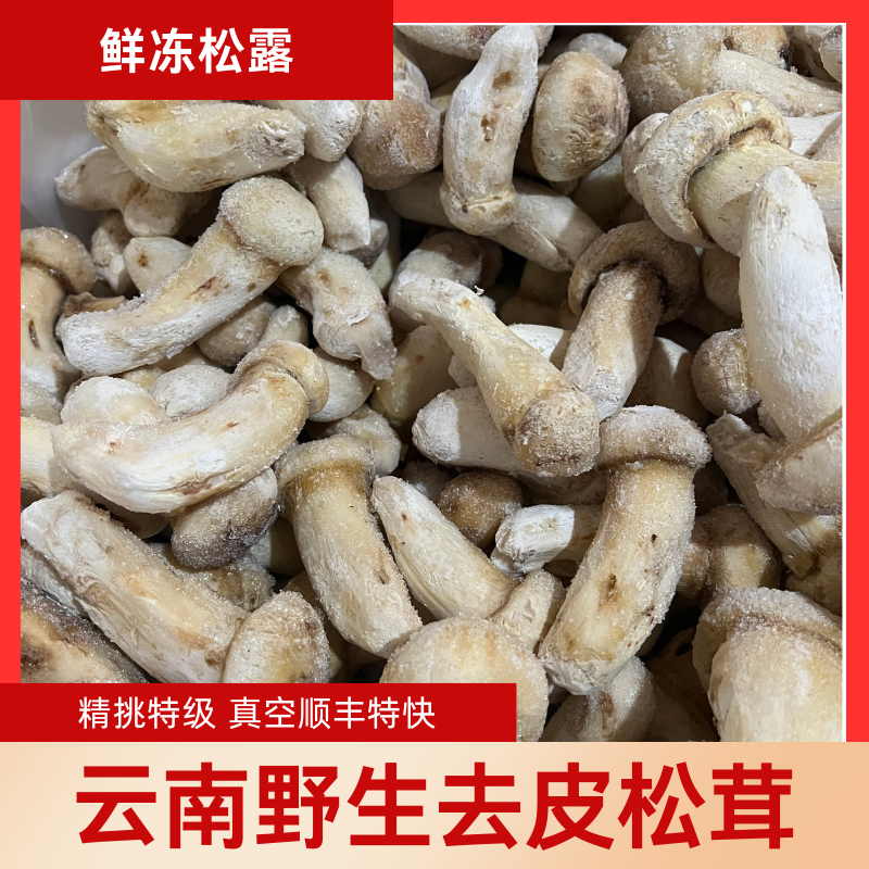 云南野生去皮松茸新鲜冰冻未开伞出口级特级餐厅酒店菌菇礼品批发
