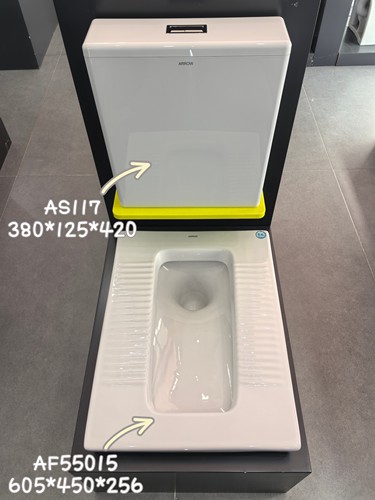 成都箭牌蹲便器冲水箱卫生间蹲坑箭牌水箱AS117水箱AF55015蹲便器