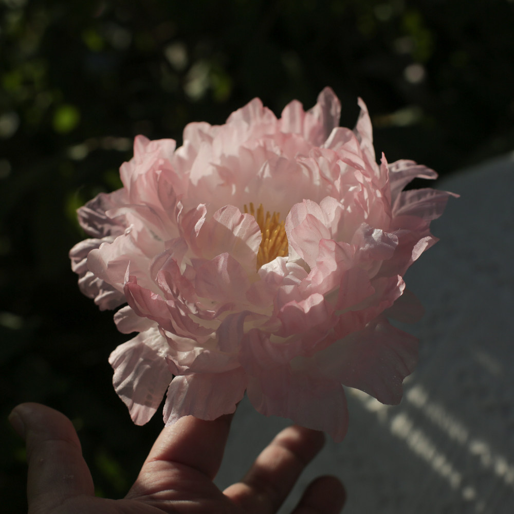 黑喵喵牡丹烫花发饰真丝甜美仙气