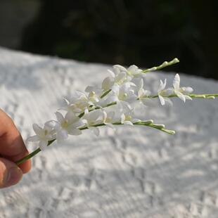 雪芙|黑喵喵 原创黄色五瓣尖花真丝烫花软簪造花发饰汉服头饰甜美