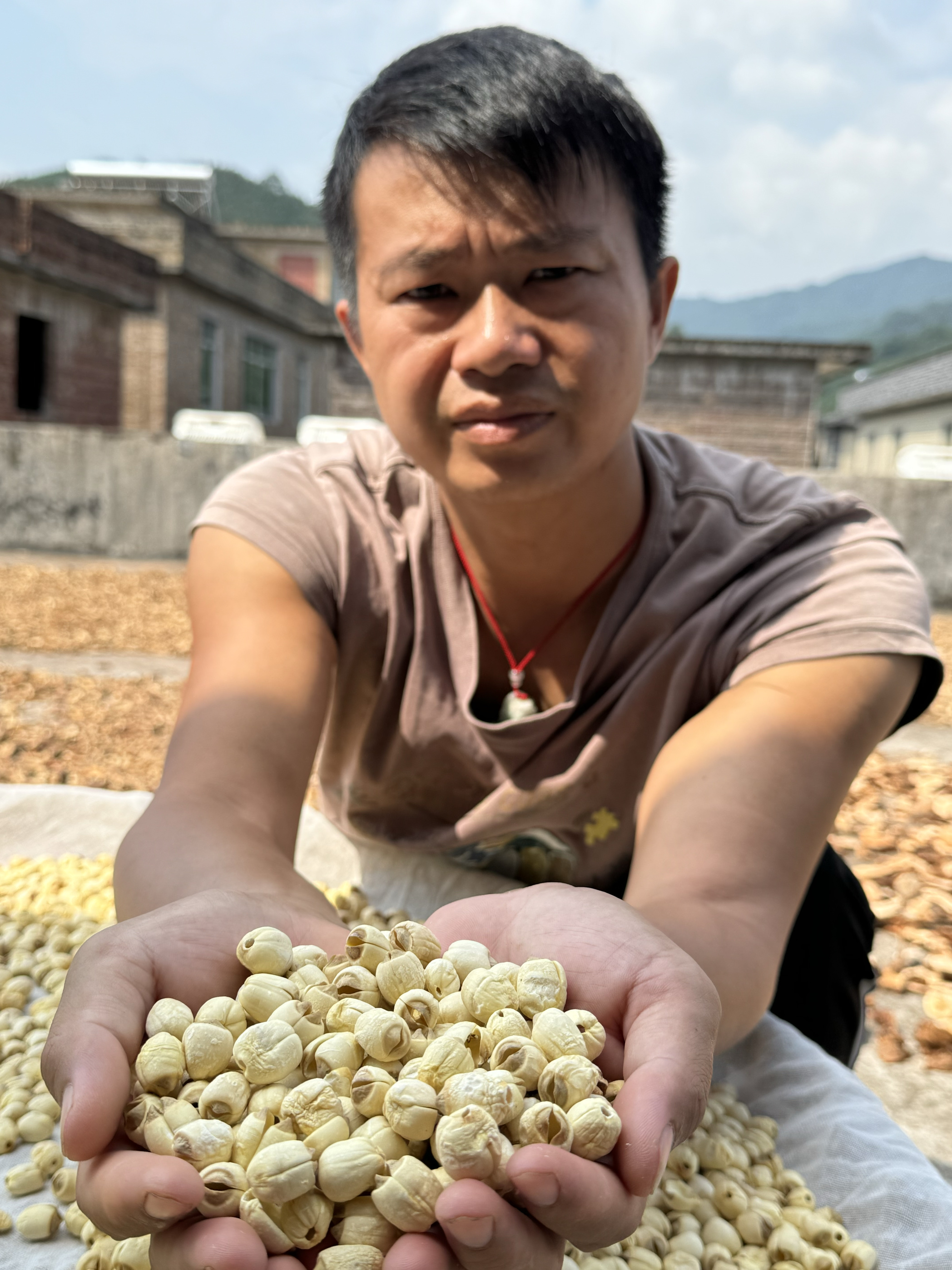 农家直发2025新货白莲子手工去皮去芯老莲子带芯莲子无硫干货