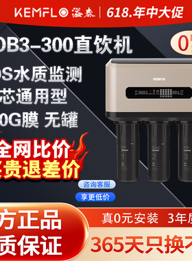 溢泰净水器反渗透直饮机零阻垢剂通用芯Rob3-100升级款RO-B-3-300