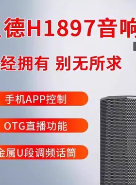 贝德别无所求1897户外演出大功率广场舞重低音声卡K歌移动音响