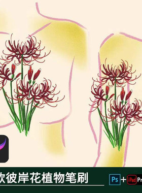 procreate笔刷ps笔刷彼岸花曼珠沙华花卉鲜花手绘花丛ipad素材