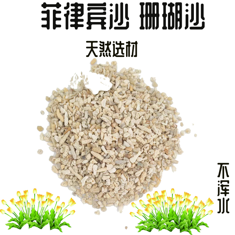 小精灵水水族馆菲律宾沙天然