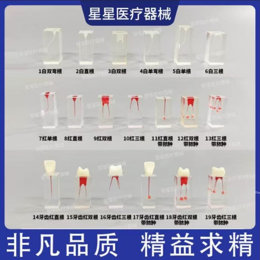 牙科根管练习块透明树脂牙髓腔充填练习块实训教学带髓腔根管块