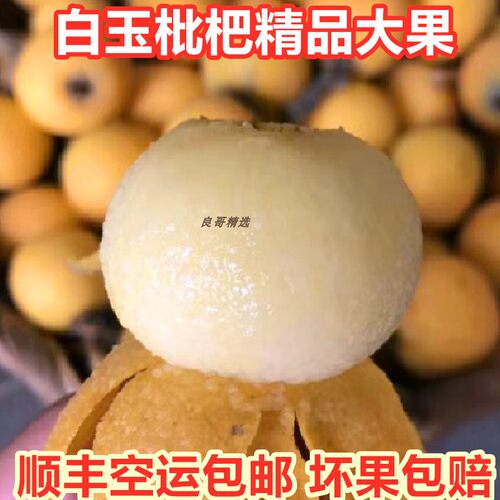 重庆合川古楼枇杷白玉白沙琵琶新鲜水果5斤胜苏州东山宁海白枇杷