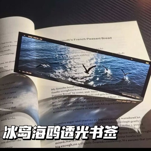 「生命」胶片樱花水绿春雨书签透光浪漫文艺微风摄影小众礼物