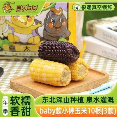 真空甜糯喜乐掰掰鲜食玉米