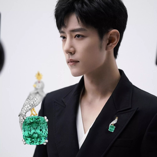 莎莎肖战明星同款奢华喜鹊时尚鸟胸针吊坠两用款气质优雅胸花别针