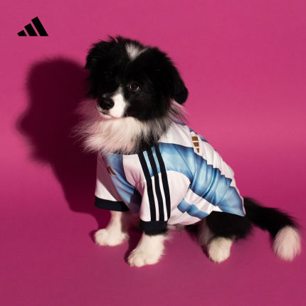 阿根廷队世界杯宠物球衣狗狗猫咪衣服新款adidas阿迪达斯三叶草