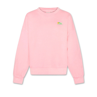 16岁男女童套头上衣 春秋4 9C2 比利时AO76儿童纯棉毛圈圆领卫衣