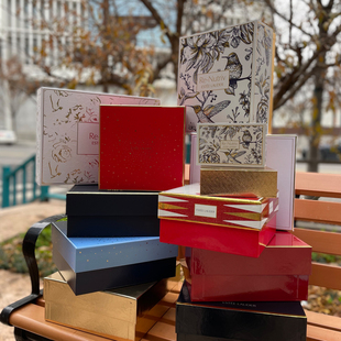 雅诗兰黛专柜手提袋包装袋护肤品礼品袋纸袋中小号空礼盒专柜正品