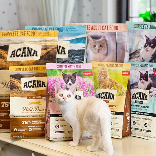 贝多芬宠物/ACANA爱肯拿美国进口鸡肉鱼肉全猫粮幼猫粮1.8kg