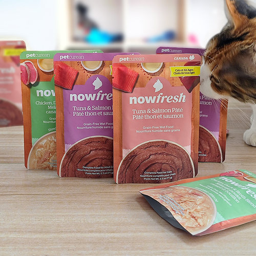 贝多芬宠物/Now Fresh全龄猫补水高汤肉酱营养猫咪零食餐包71g