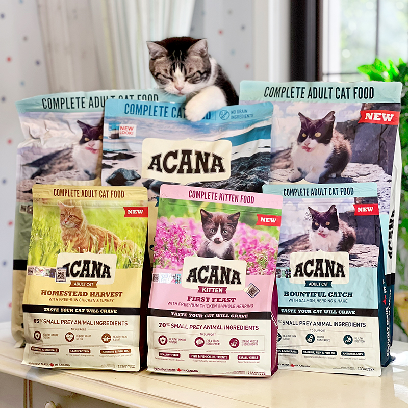贝多芬宠物/ACANA爱肯拿美国进口鸡肉海洋鱼幼猫粮成猫室内全猫粮