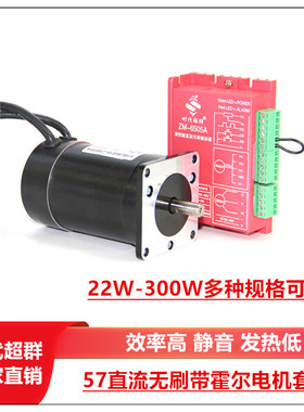 低压24V36V直流无刷电机带霍尔套装60W90W100W150W3000转4000转