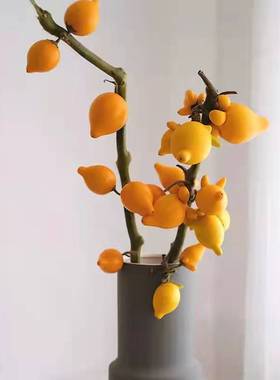 五代同堂果春节年宵花长兽果黄金果家庭办公室内装饰水养鲜切花