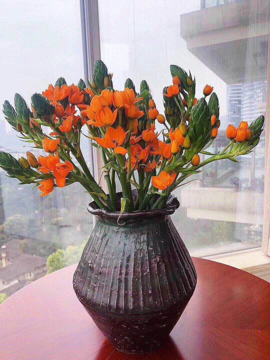 圣心百合鲜切花水养婚礼家庭办公生活插花云南昆明鲜花基地直发