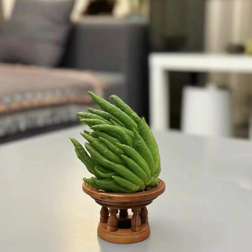 佛手果鲜果现摘观赏供佛室内摆放