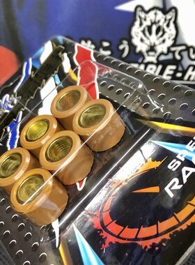 台湾SUN普利珠巡弋飞度PCX