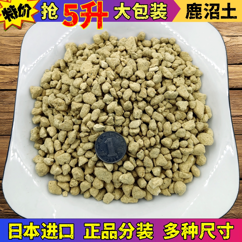 日本进口硬质鹿沼土颗粒铺面介质拌土颗粒多肉杜鹃兰酸性花营养土