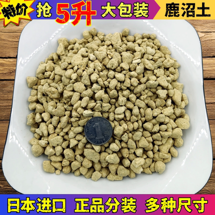 日本进口硬质鹿沼土颗粒铺面介质拌土颗粒多肉杜鹃兰酸性花营养土