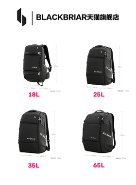 BLACKBRIAR黑荆棘【赛博金属银】 户外滑雪防水实用百搭背包