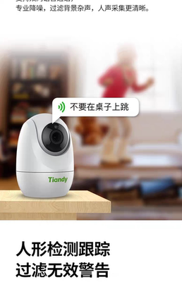 天地伟业天鹅蛋TC-H132N无线对讲人形识别报警摄像头室内摇头机