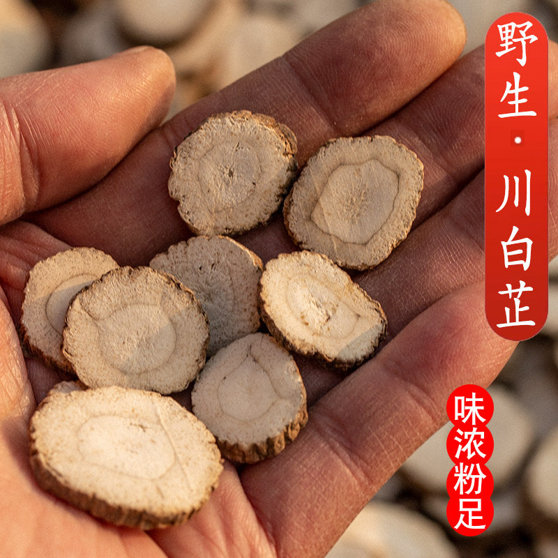 四川产地直发 野生白芷片中药材正品代打粉调香料无硫整根500克