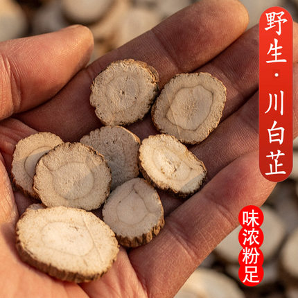 四川产地直发 野生白芷片中药材正品代打粉调香料无硫整根500克