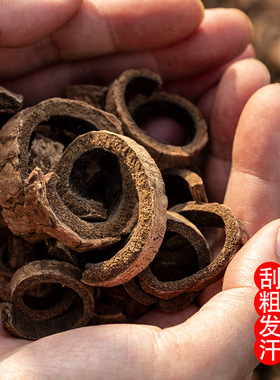 四川直发 厚朴中药材正品姜制炙厚朴老树发汗特别级去粗皮500克