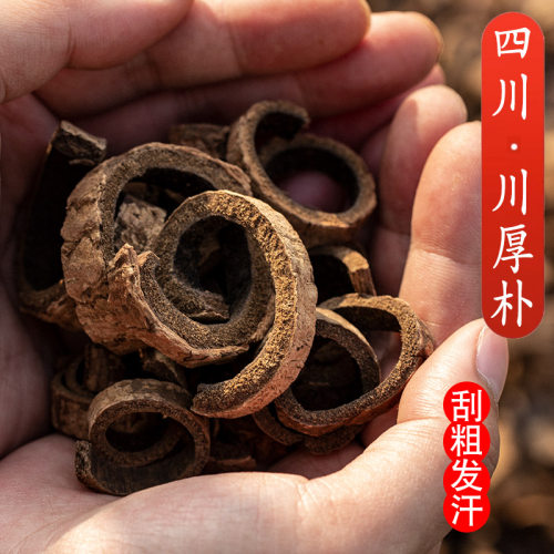 姜厚朴正品四川直发