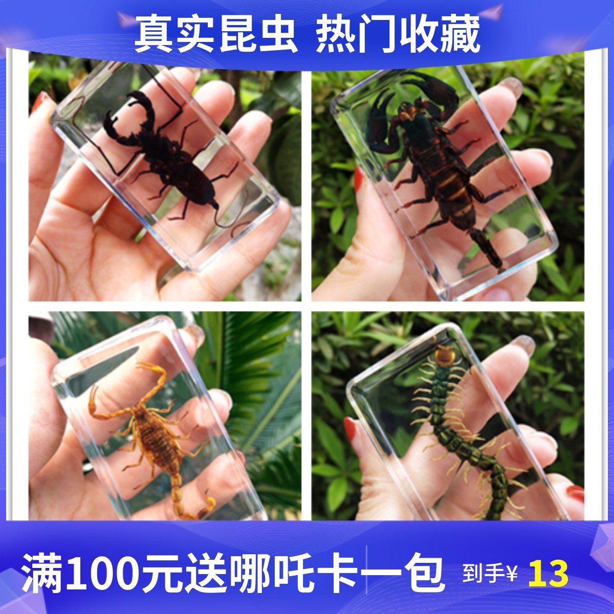 昆虫标本树脂动物海洋类科学实验幼儿园教学标本展厅收藏玩具礼品,玩具/童车/益智/积木/模型,科学实验,淘宝优惠券,粉丝福利购,淘宝优惠卷