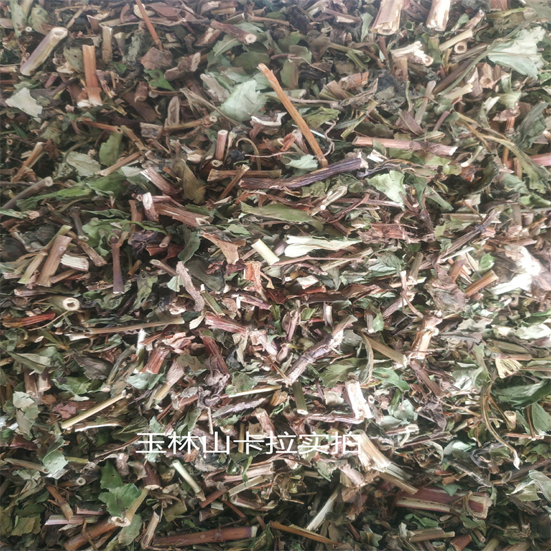 广西败酱草别名 苦菜 鹿肠草  苏败酱 女郎花中药材干品无硫500克