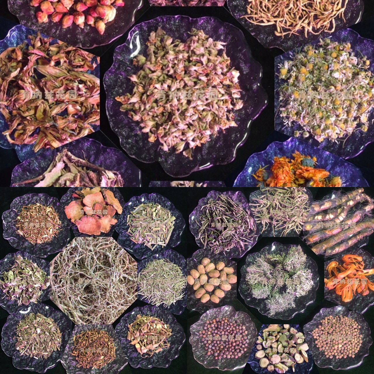 合集补充（二）爱德蛇之舌紫花苜蓿苦艾菊苣草芜菁子芝麻芍药花