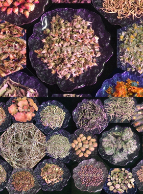 合集补充（二）爱德蛇之舌紫花苜蓿苦艾菊苣草芜菁子芝麻芍药花