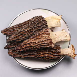 通江羊肚菌干货特产菇蘑头茬肉厚天然近野生无硫熏礼盒100g